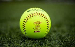 Rawlings Fastpitch Softball