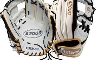Wilson A2000 Fastpitch Glove Series